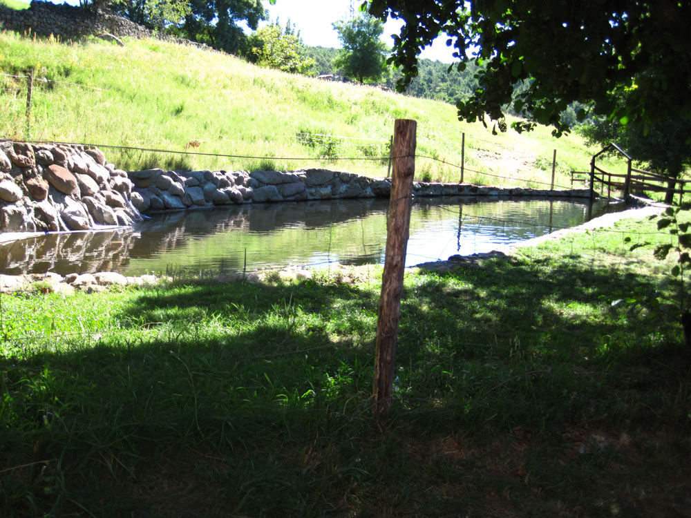 campamento gavilanes